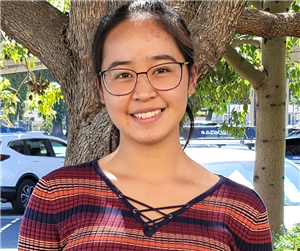 Arista Nareswari